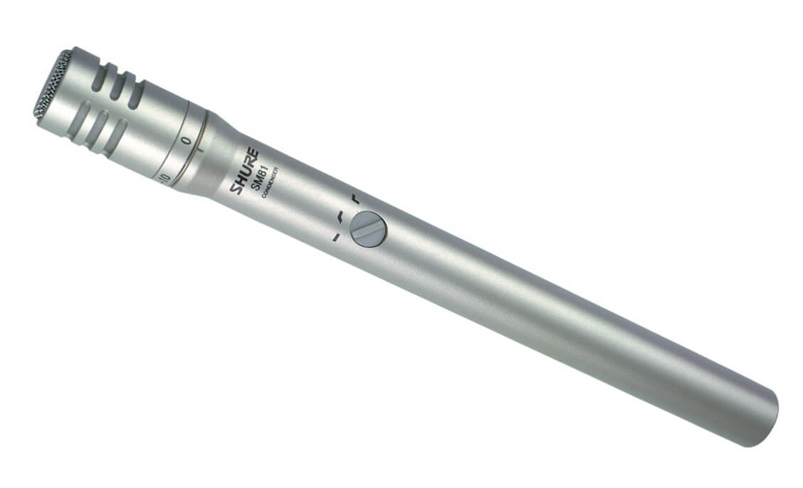 SM81